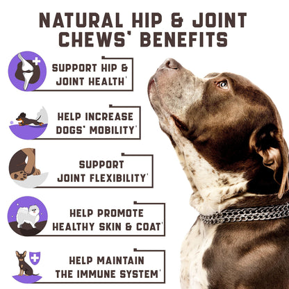 Glucosamine for Dogs Joint Supplement with Chondroitin Msm Hemp